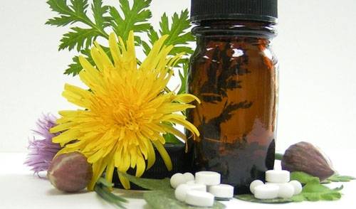 Dia da Homeopatia e Dia do Homeopata