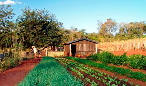 Dia da Reforma Agrária