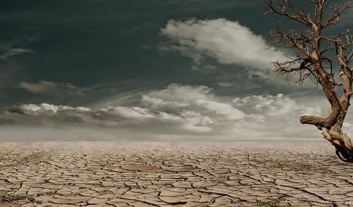 Dia Mundial de Luta contra a Desertificação e a Seca