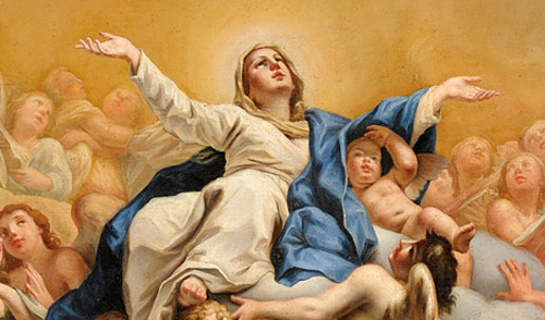 Humilde serva e M&atilde;e da humanidade