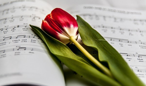 A d&aacute;diva do amor