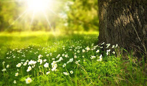 A morte com rosto de festa