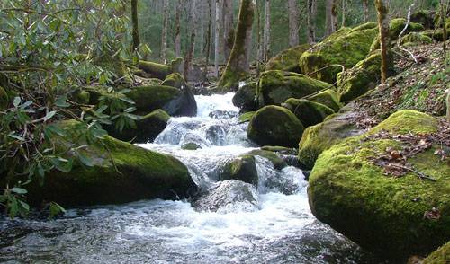 Apenas um rio que passa 