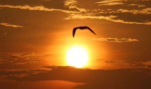 Coragem! Tudo posso em Deus!