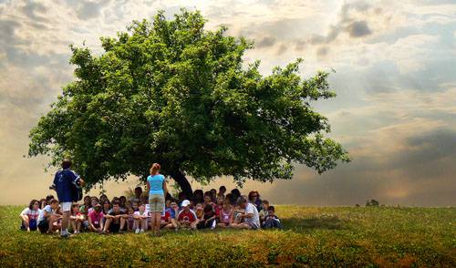 Credo da ecologia total