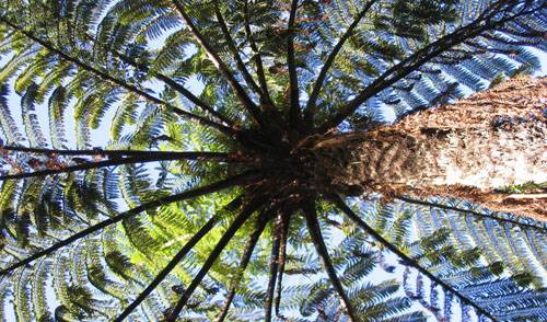 Deus &eacute; o criador do mundo