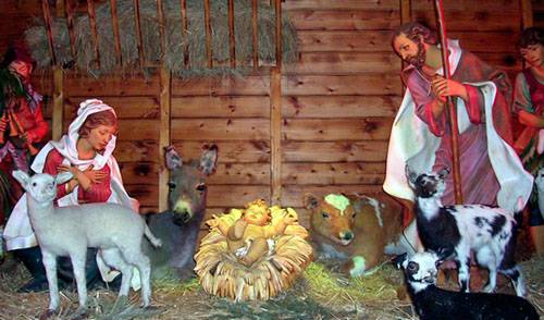 &Eacute; Natal, amor e paz