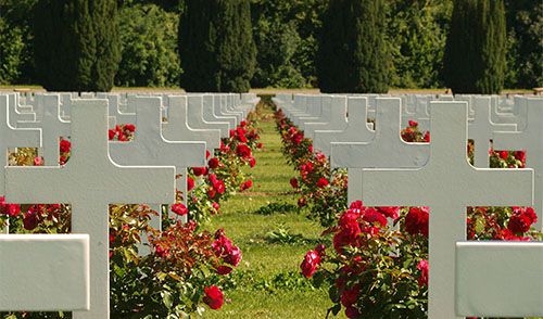Flores para nossos mortos