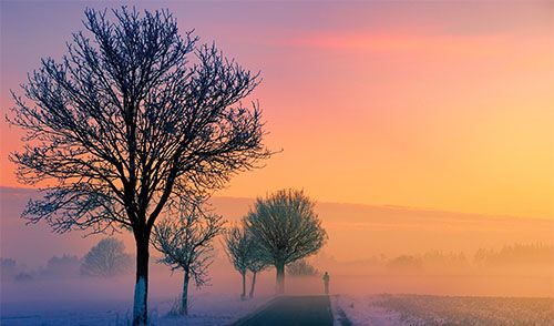 Morte, necessidade e violência