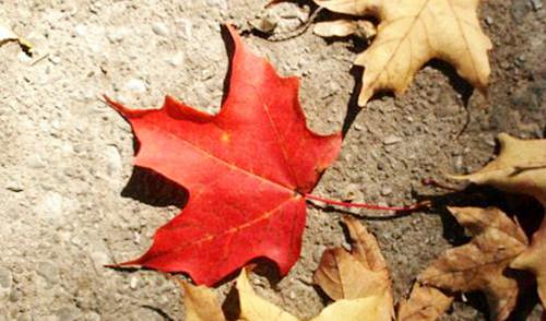 N&atilde;o sou quem deveria ser