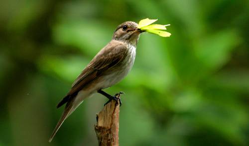 O melhor rem&eacute;dio para a preocupa&ccedil;&atilde;o &eacute; Deus