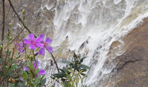 O que &eacute;, afinal, a vida?