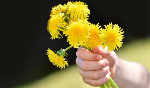 Oportunidades do dia a dia