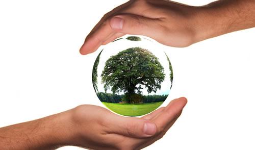 Ora&ccedil;&atilde;o crist&atilde; com a cria&ccedil;&atilde;o 