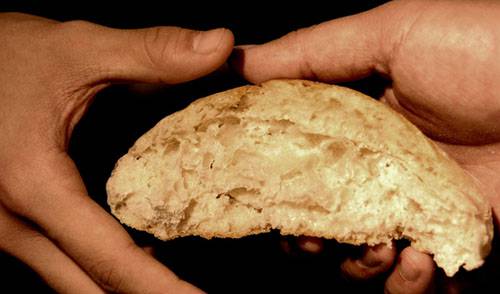 Para onde caminha a humanidade?