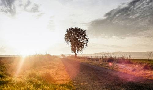 Pelos caminhos da América