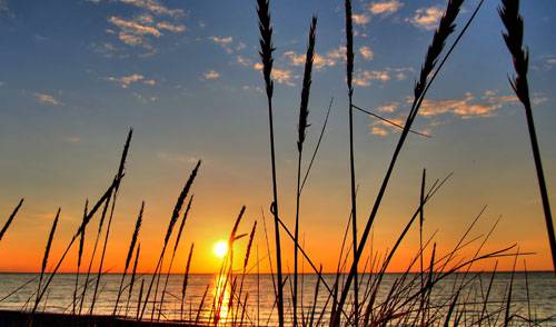 Se h&aacute; confian&ccedil;a...