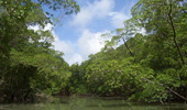 Amazônia