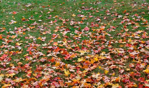 Um toque de suavidade